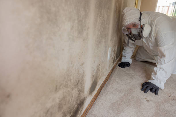 Water damage restoration mold remediation in Loudonville, OH